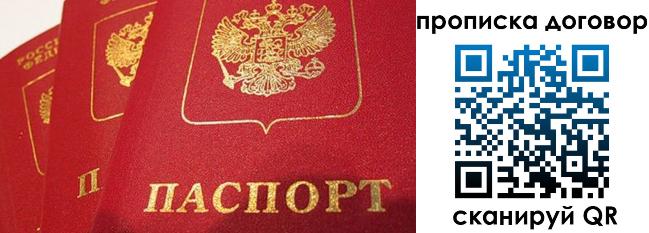 найти адрес прописки в Заволжье